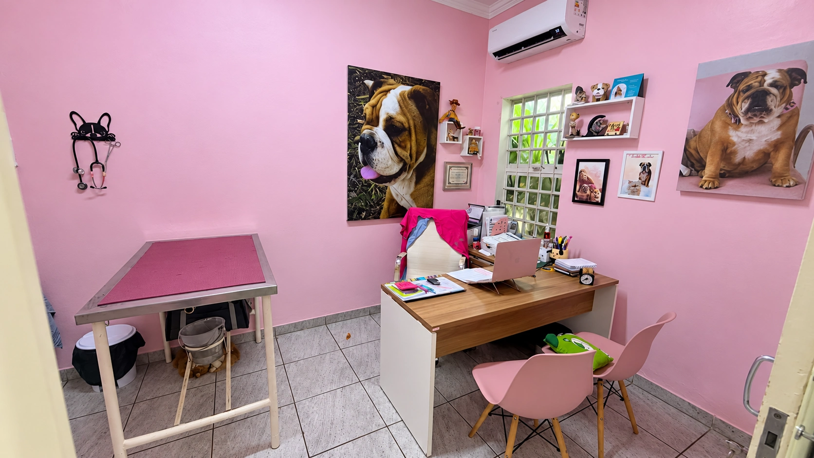 Consultório com paredes rosa da Vet Life